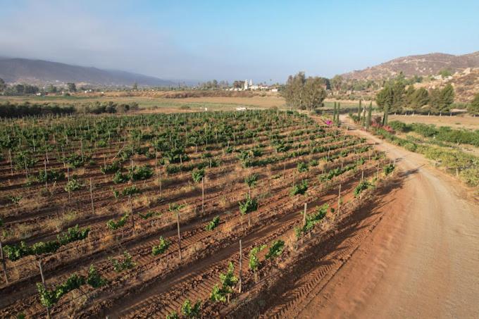 ואלה דה גוואדלופה Casa Luna Vinedo מראה חיצוני תמונה